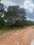 Terreno, 2120 hectares - Foto 3