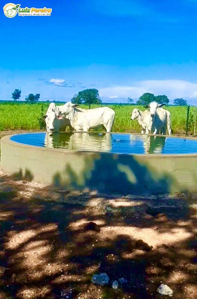 Terreno, 164 m² - Foto 3