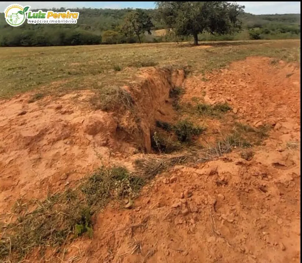 Terreno, 224 m² - Foto 6
