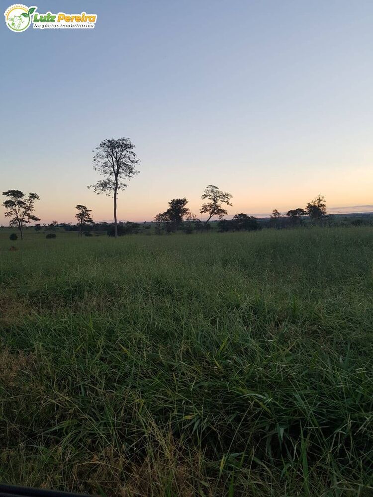 Terreno, 484 m² - Foto 6