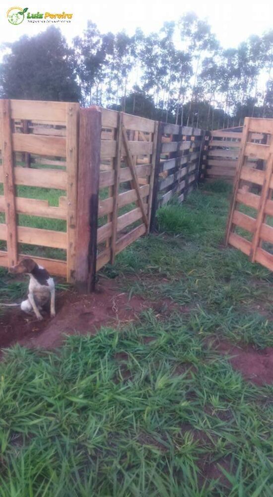 Terreno, 484 m² - Foto 16