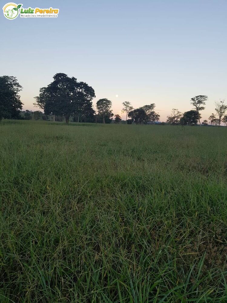 Terreno, 484 m² - Foto 7