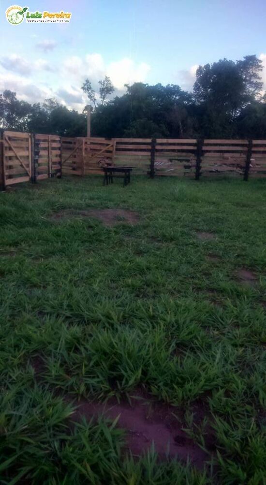 Terreno, 484 m² - Foto 13