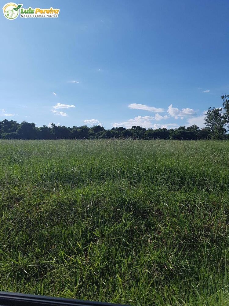 Terreno, 484 m² - Foto 8