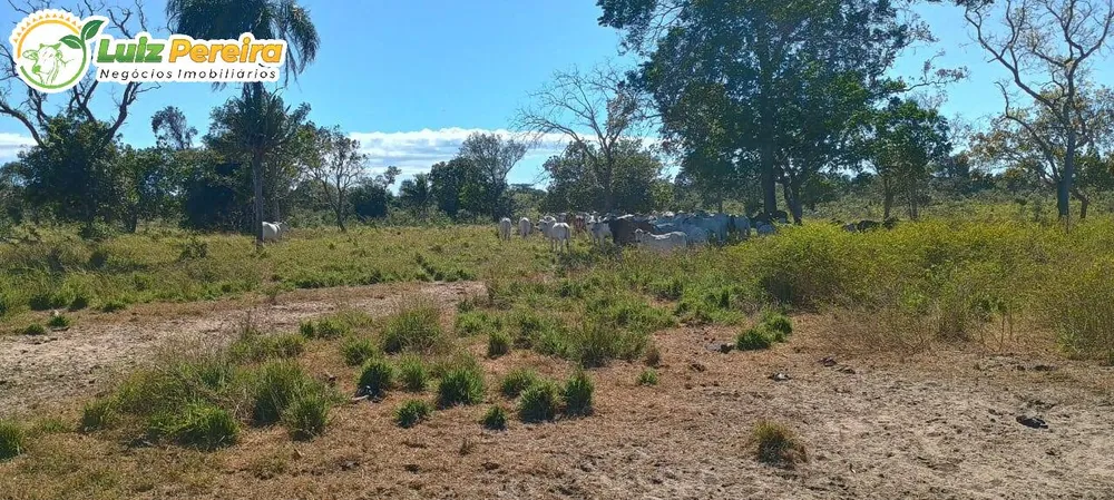 Terreno, 677 m² - Foto 4