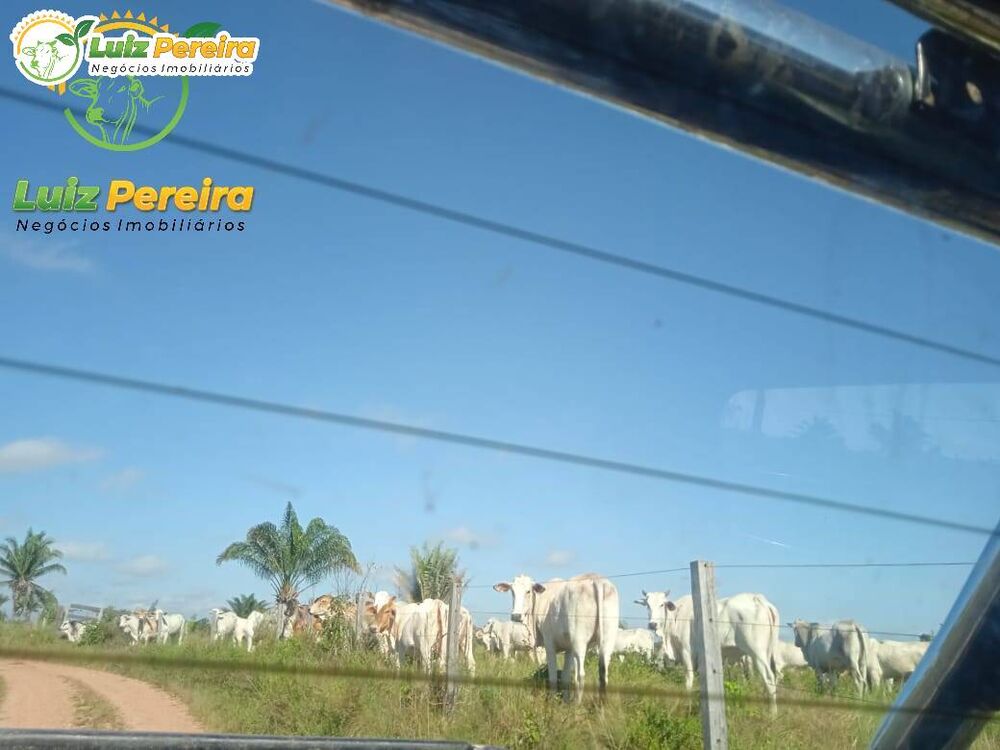 Terreno, 2638 m² - Foto 2