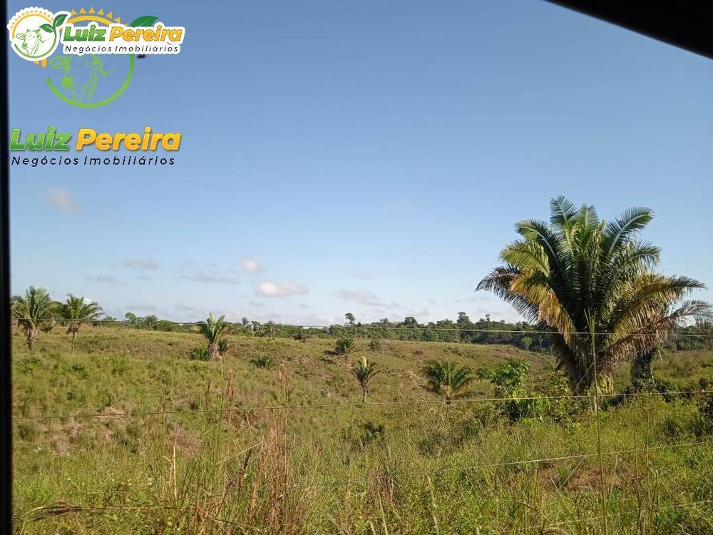 Terreno, 2638 m² - Foto 3