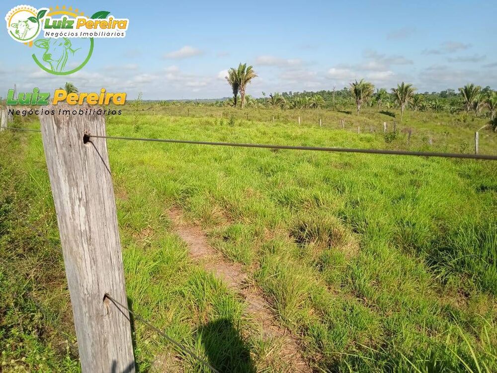 Terreno, 2638 m² - Foto 4