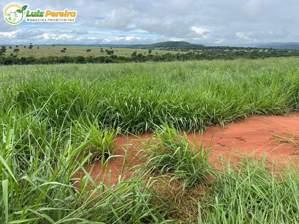 Terreno, 317 m² - Foto 12