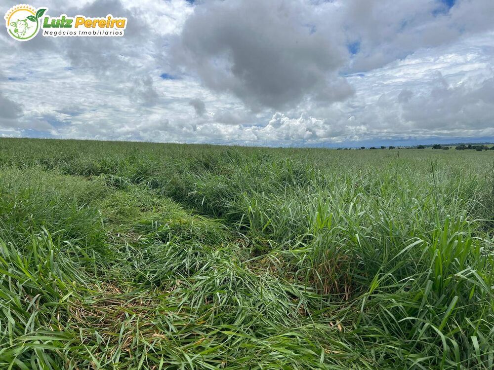 Terreno, 317 m² - Foto 2