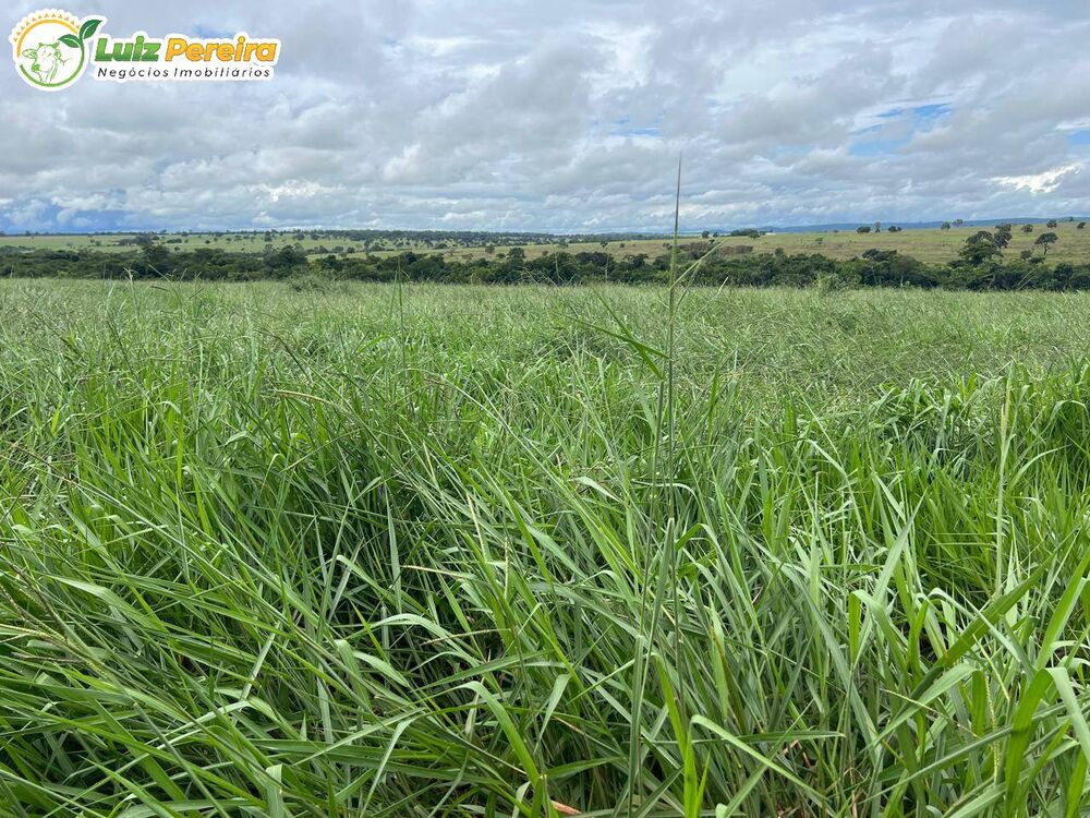 Terreno, 317 m² - Foto 11