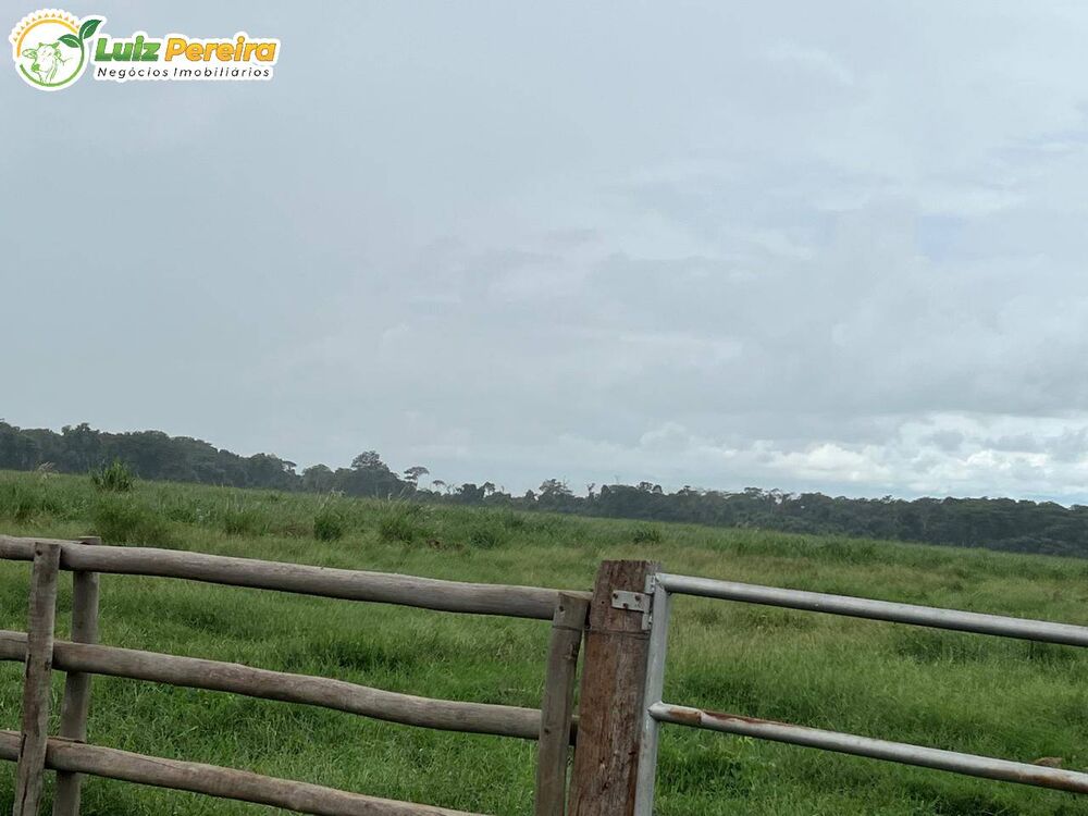 Terreno, 317 m² - Foto 3