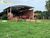 Terreno, 317 m² - Foto 4