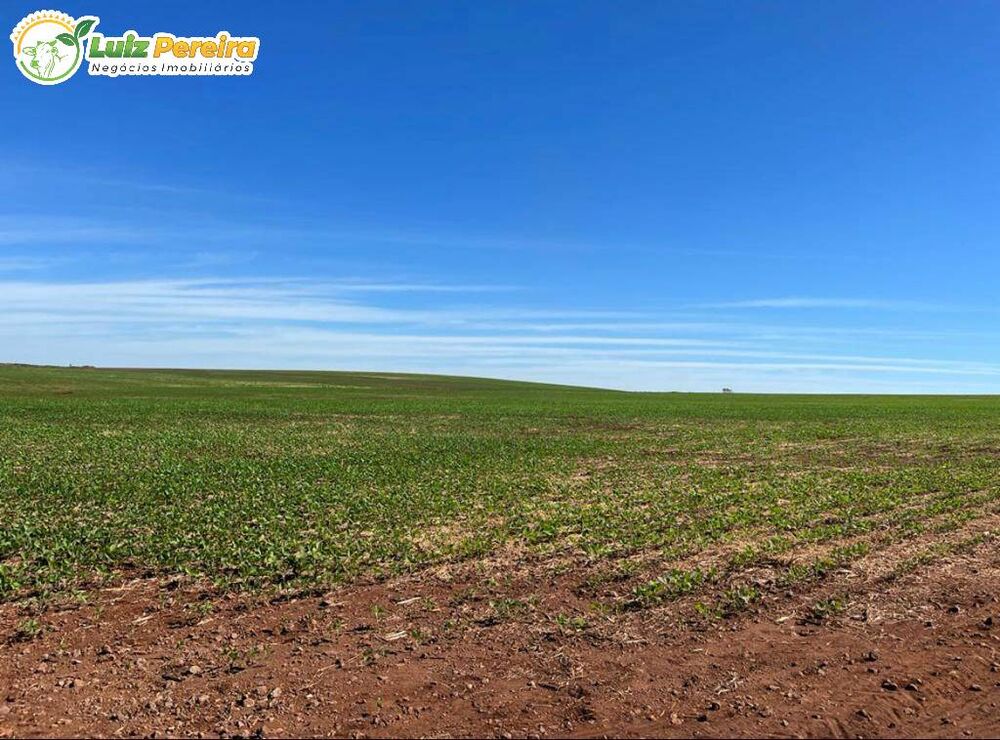 Terreno, 874 m² - Foto 2