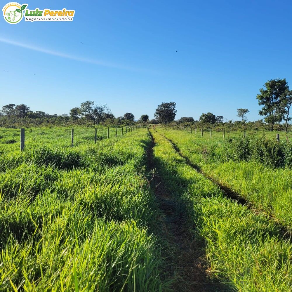 Terreno, 819 m² - Foto 3