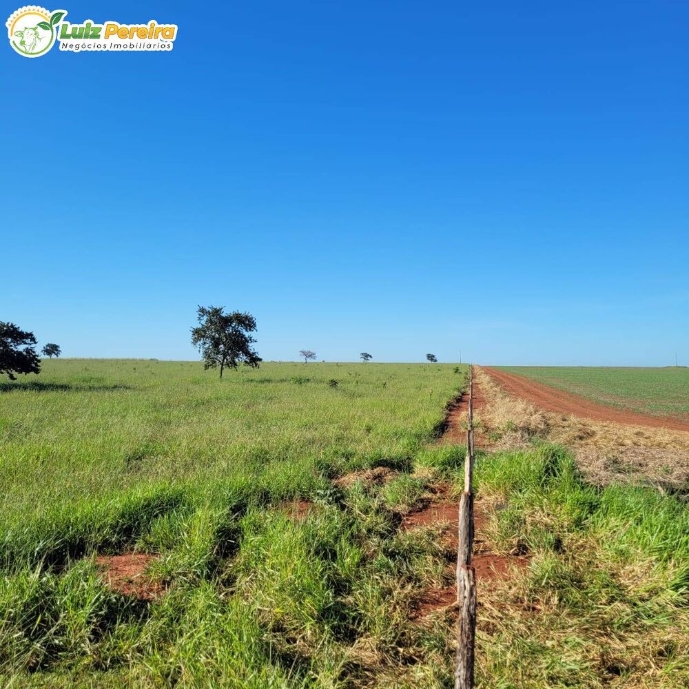 Terreno, 819 m² - Foto 6