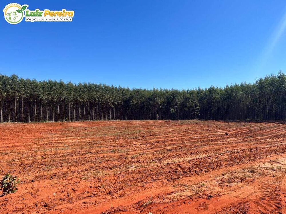 Terreno à venda, 202m² - Foto 3