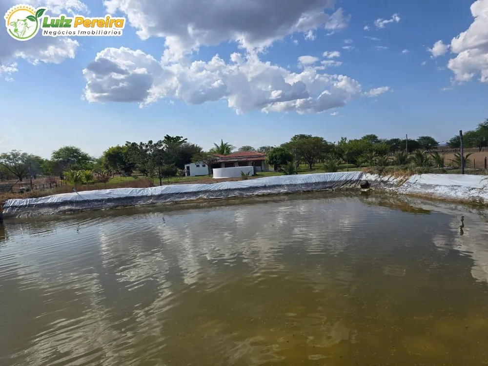 Terreno, 6100 m² - Foto 5