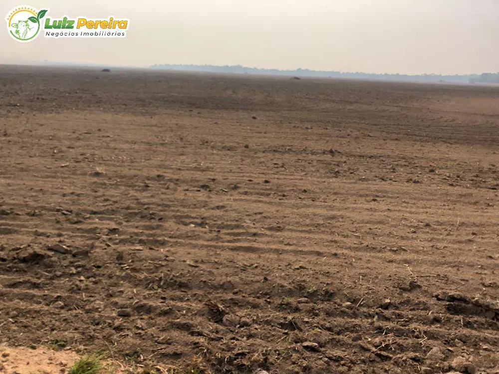 Terreno, 3020 hectares - Foto 6