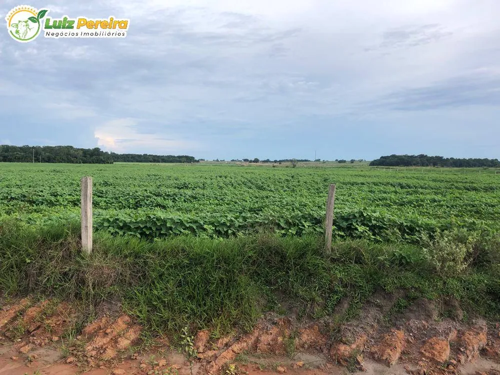 Terreno, 3020 hectares - Foto 3