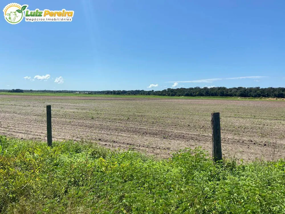 Terreno, 3020 hectares - Foto 6
