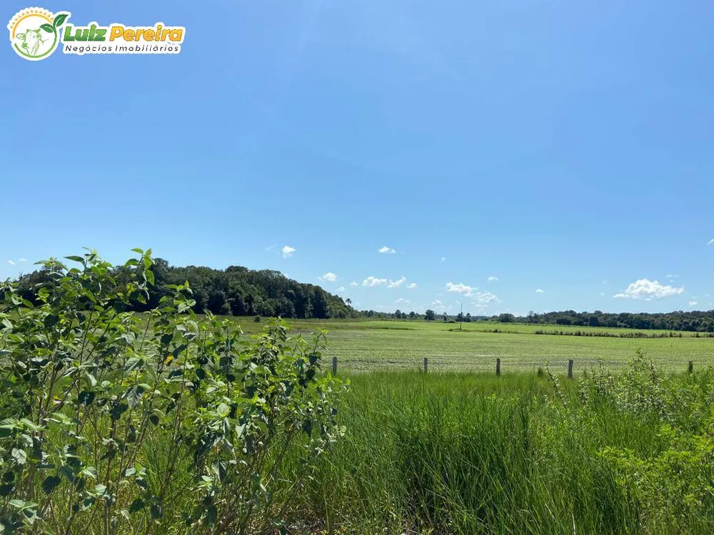 Terreno, 3020 hectares - Foto 2