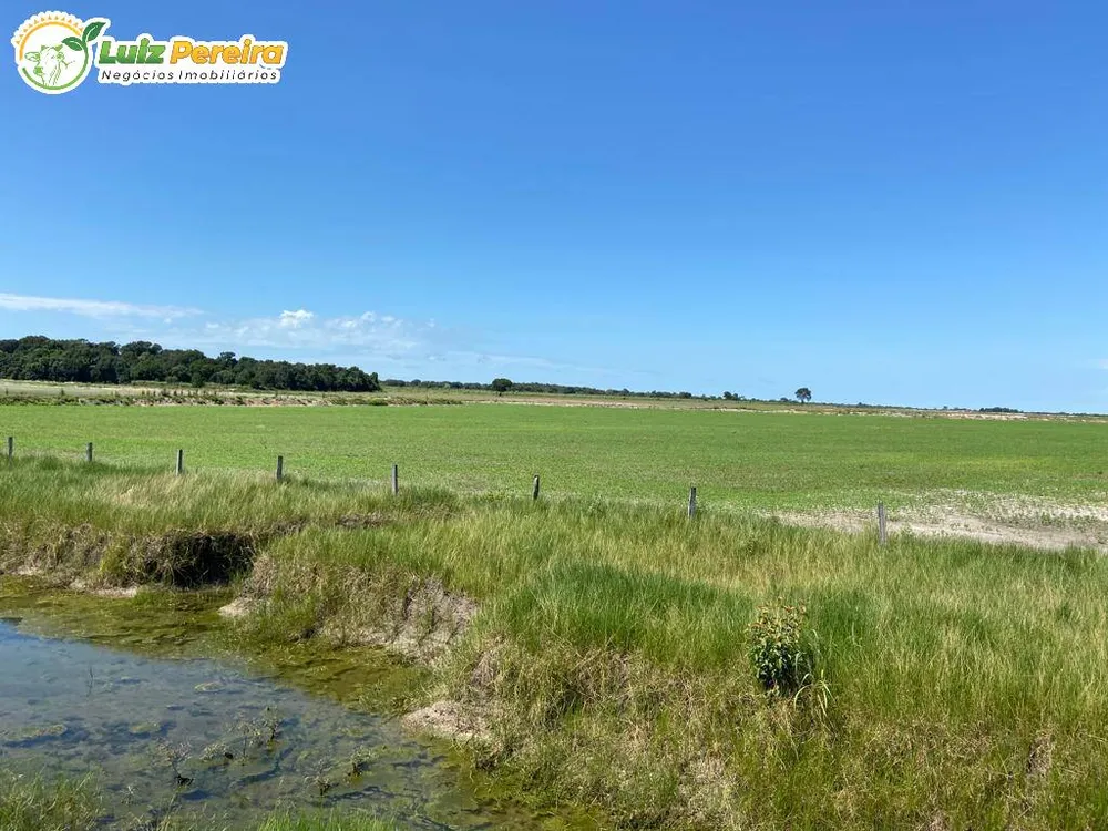 Terreno, 3020 hectares - Foto 1