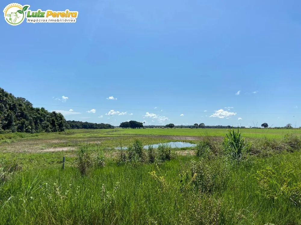 Terreno, 3020 hectares - Foto 3