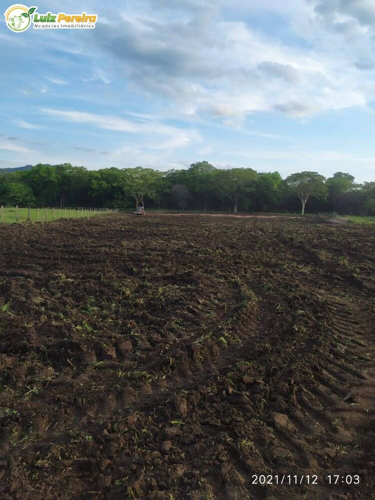 Terreno, 1689 hectares - Foto 6