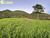 Terreno, 1689 hectares - Foto 1