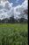 Terreno, 1689 hectares - Foto 4