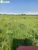 Terreno, 235 hectares - Foto 1