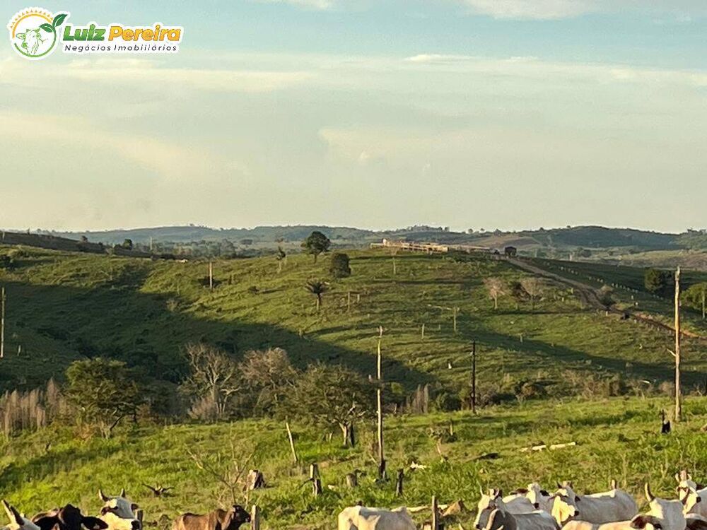 Terreno, 498 m² - Foto 1