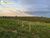 Terreno, 498 m² - Foto 2