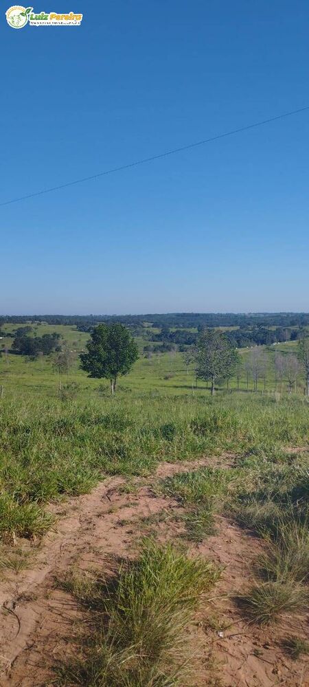 Terreno à venda, 184m² - Foto 2