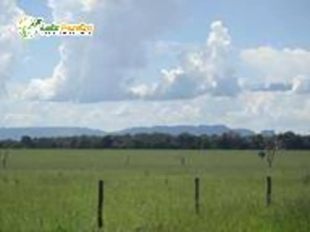 Terreno, 5482 m² - Foto 3