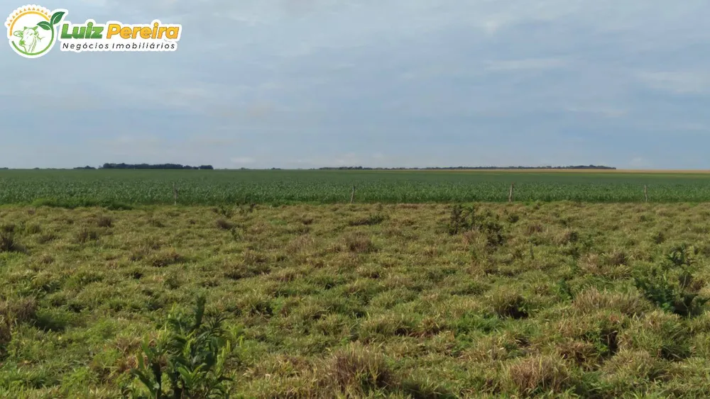 Terreno, 1210 hectares - Foto 3