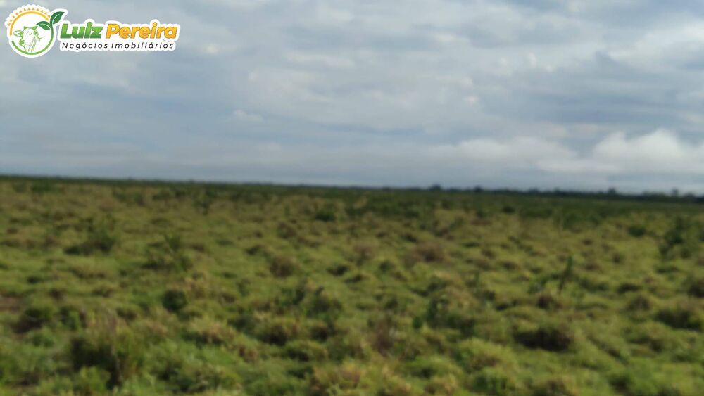 Terreno, 1210 hectares - Foto 10