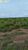 Terreno, 1210 hectares - Foto 1