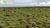 Terreno, 1210 hectares - Foto 2