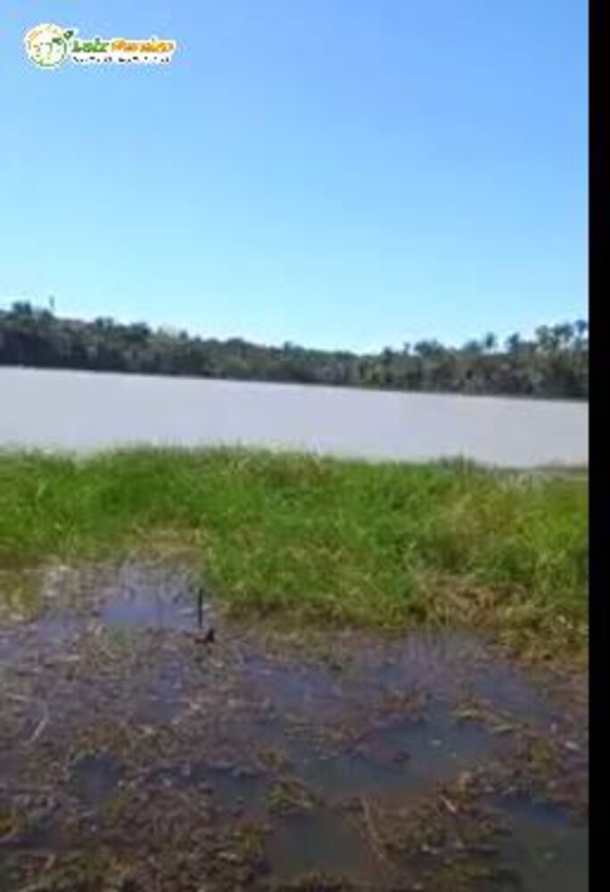 Terreno, 6000 hectares - Foto 1