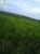 Terreno, 3630 hectares - Foto 3