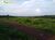 Terreno, 3630 hectares - Foto 2