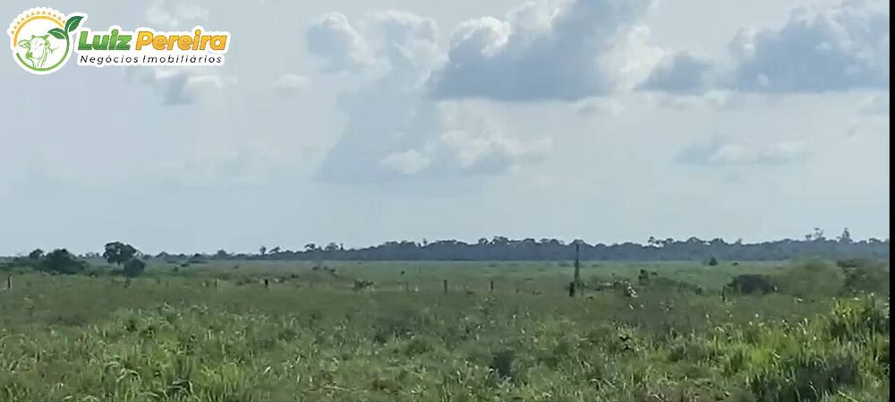 Terreno, 726 m² - Foto 4