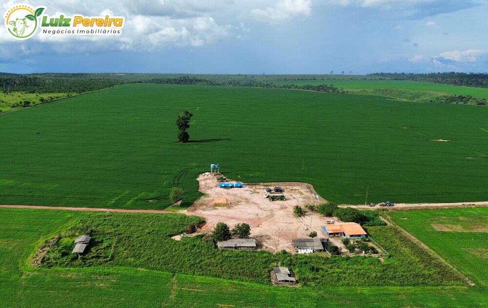 Terreno, 726 m² - Foto 2