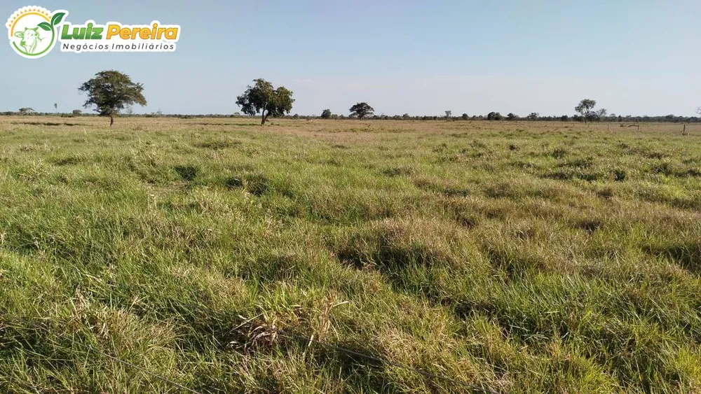 Terreno, 7128 m² - Foto 5