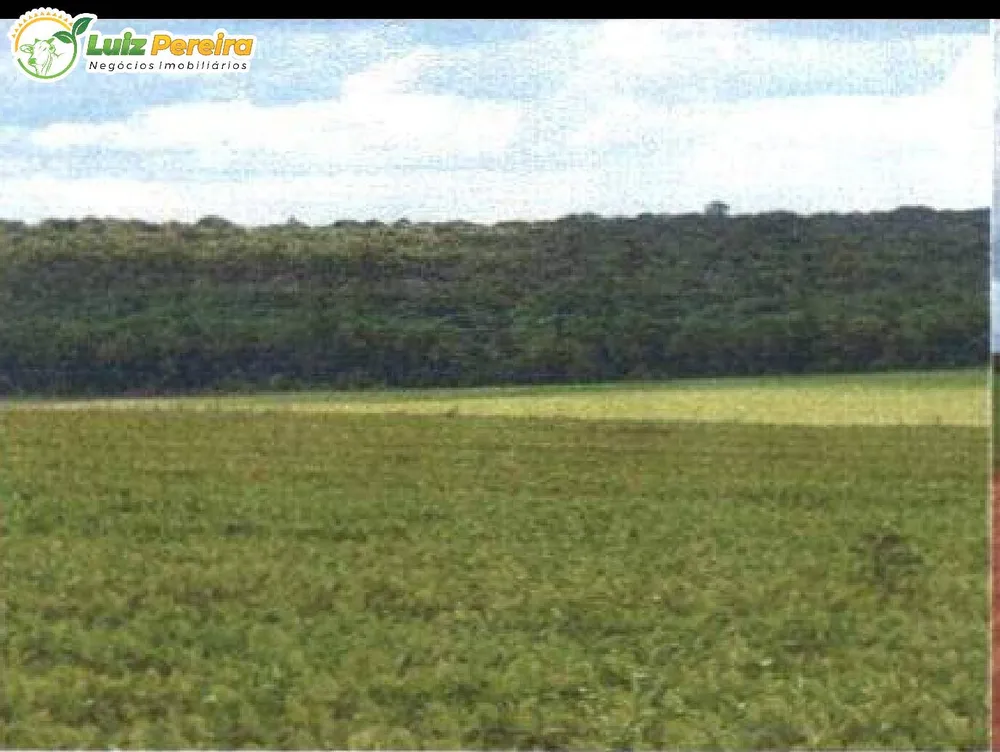 Terreno, 2500 m² - Foto 11