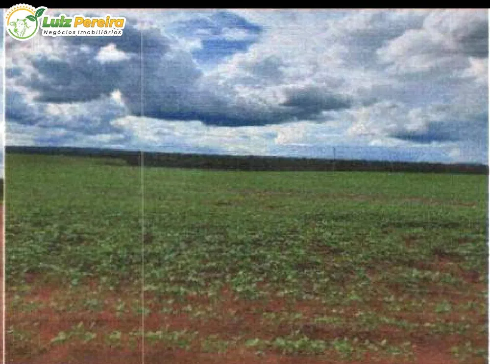 Terreno, 2500 m² - Foto 7
