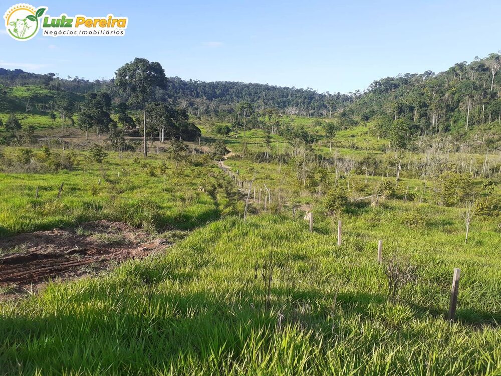 Terreno à venda, 1161m² - Foto 3