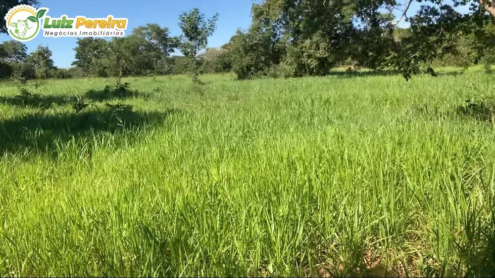 Terreno, 361 m² - Foto 4